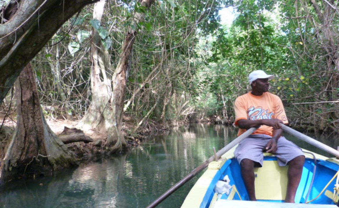 Promenade en barque que la rivière indienne, La Dominique Promenade en barque que la rivière indienne, La Dominique