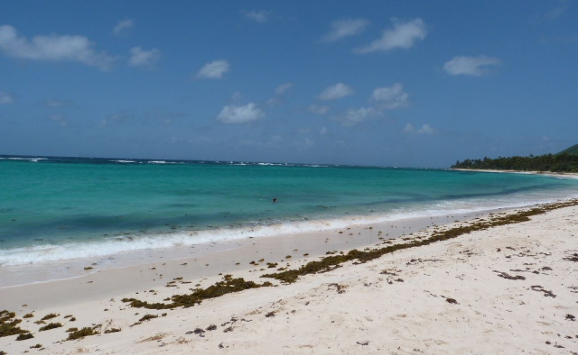 La plage de Capesterre, Marie Galante La plage de Capesterre, Marie Galante
