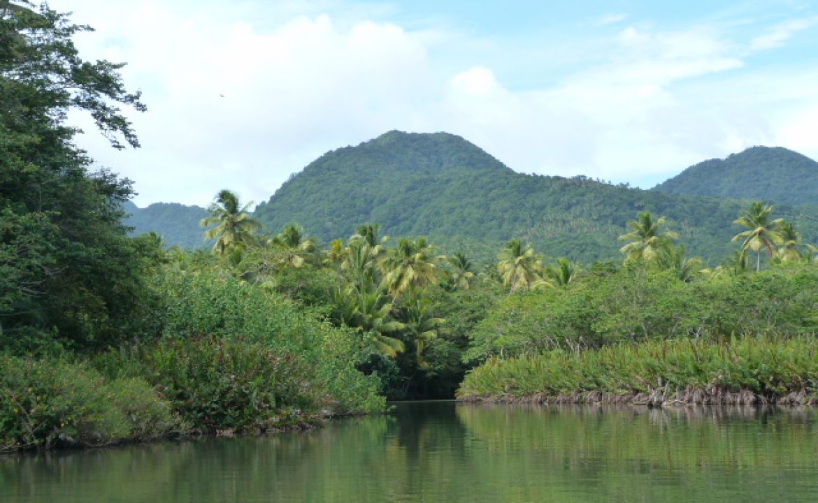 Portsmouth et son écrin de verdure, La Dominique Portsmouth et son écrin de verdure, La Dominique