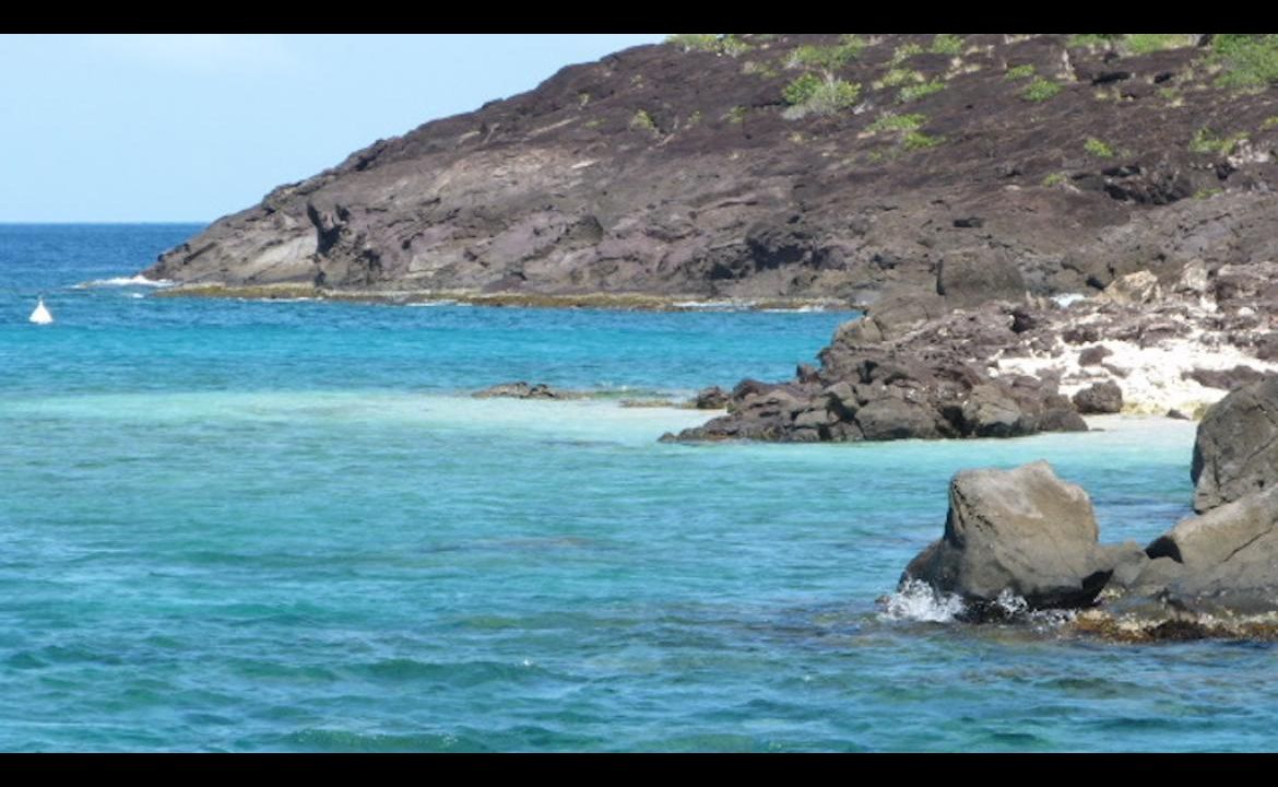 Réserve Cousteau en Guadeloupe Réserve Cousteau en Guadeloupe