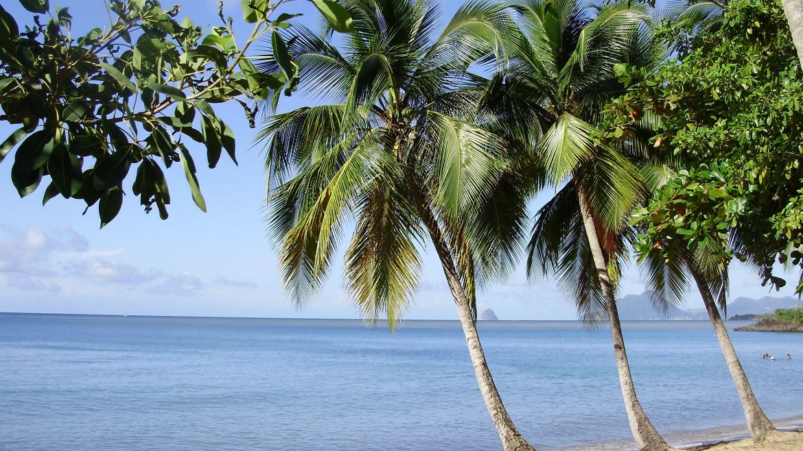 Anse Figuier en Martinique Anse Figuier en Martinique