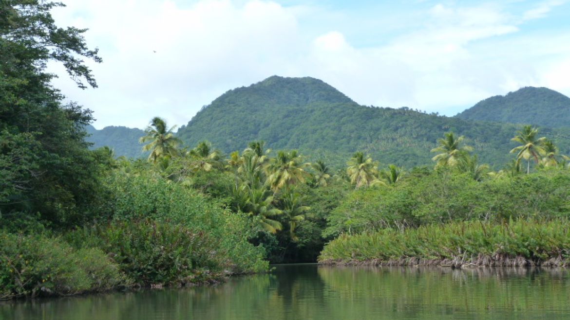 La magnifique verdure de la Dominique La magnifique verdure de la Dominique