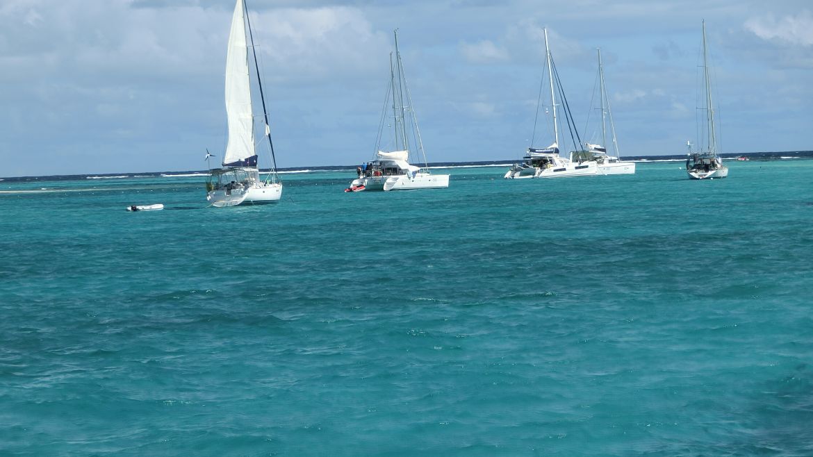 Monocoques et multicoques au mouillage des Tobago Cays Monocoques et multicoques au mouillage des Tobago Cays