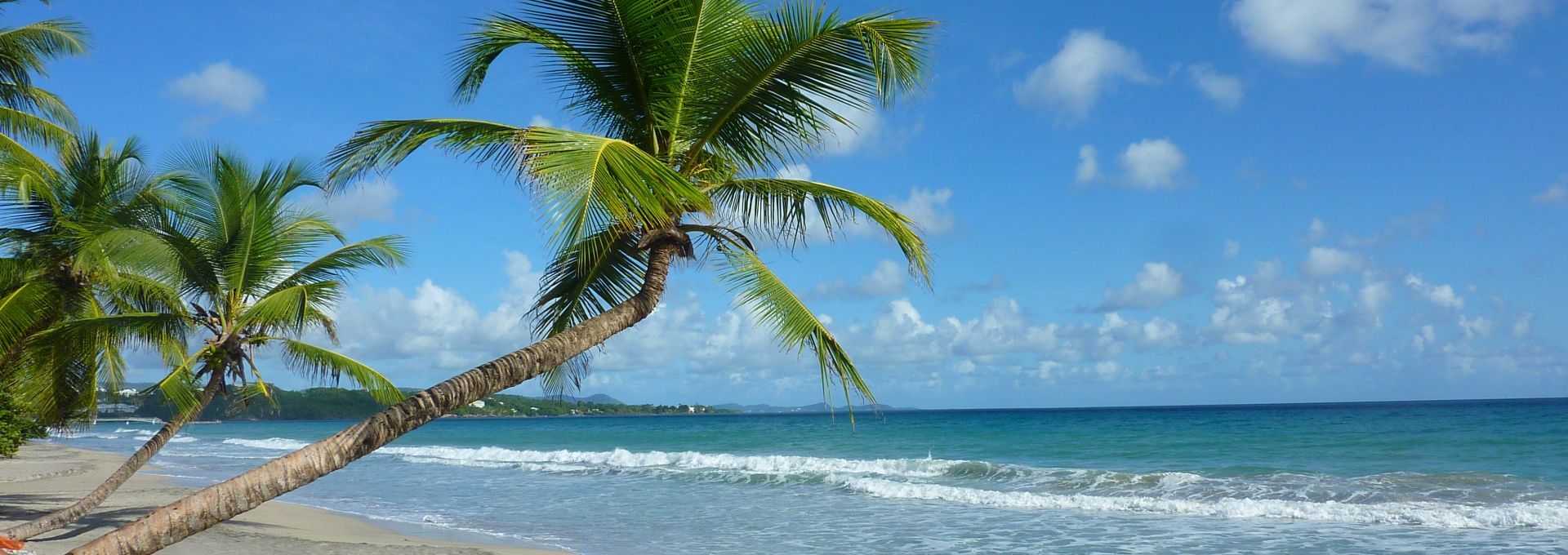 Diamond Beach in Martinique